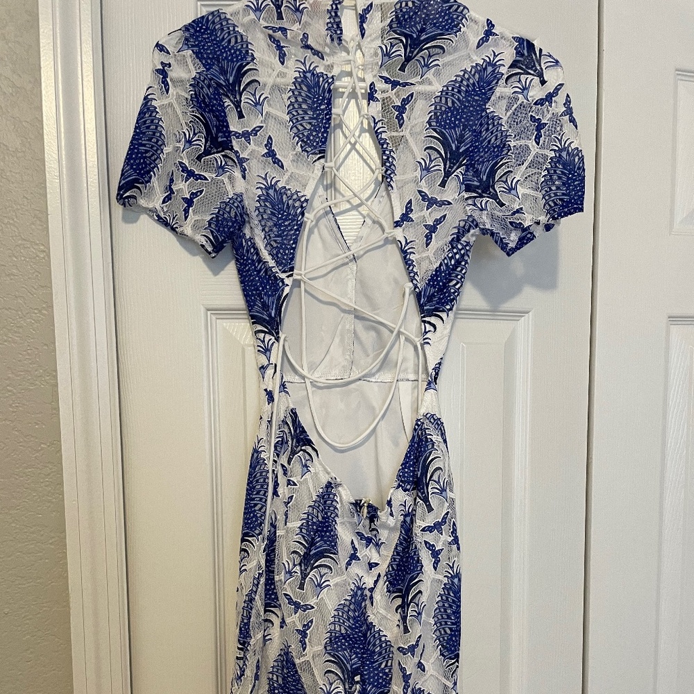 Boutique Lace Sheer Midi Dress